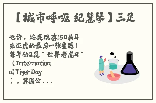 国产沙发午睡系列99的特点